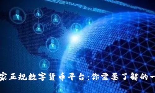 国家正规数字货币平台：你需要了解的一切