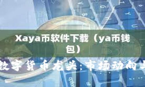 资本疯狂涌入数字货币龙头：市场动向与未来趋势解析