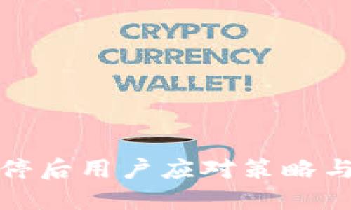 TP钱包关停后用户应对策略与解决方案