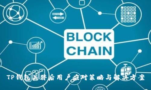TP钱包关停后用户应对策略与解决方案