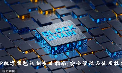 TP数字钱包私钥查看指南：安全管理与使用技巧