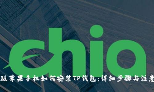 手机版苹果手机如何安装TP钱包：详细步骤与注意事项