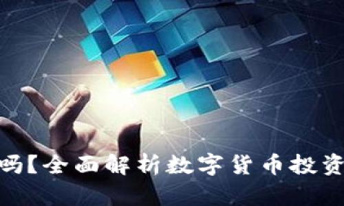 数字货币能追吗？全面解析数字货币投资的风险与机遇