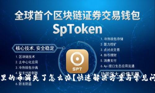 TP钱包里的币消失了怎么办？快速解决方案与常见问题解析