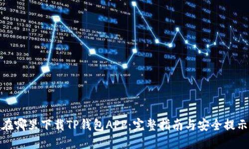 在哪里下载TP钱包APP：完整指南与安全提示