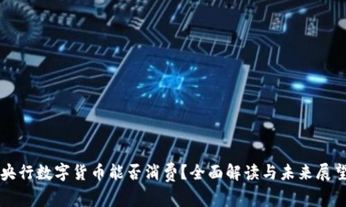 央行数字货币能否消费？全面解读与未来展望