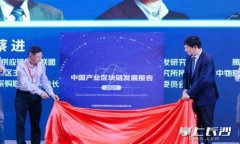   张建数字货币的崛起与挑