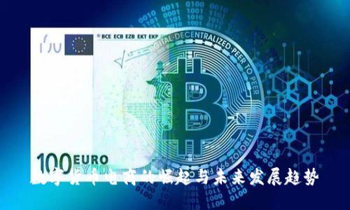 数字货币电商的崛起与未来发展趋势