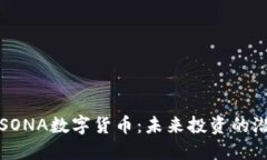 深入了解SONA数字货币：未