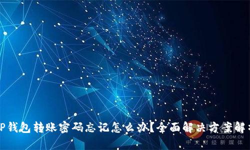 TP钱包转账密码忘记怎么办？全面解决方案解析