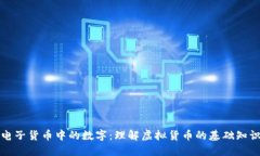 电子货币中的数字：理解