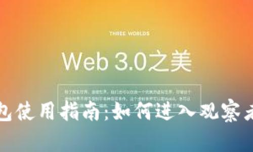 TP钱包使用指南：如何进入观察者模式