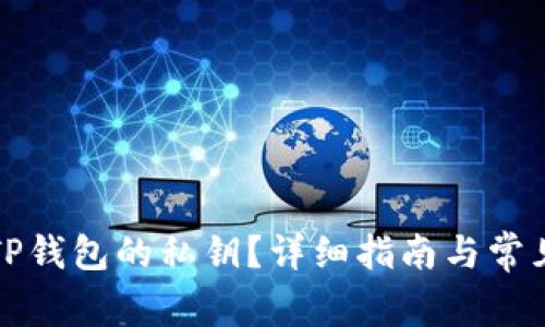 如何找回TP钱包的私钥？详细指南与常见问题解答