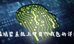 如何在鸿蒙系统上下载T