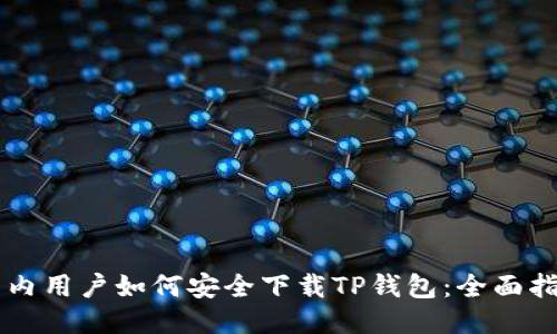 国内用户如何安全下载TP钱包:全面指南
