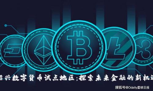 绍兴数字货币试点地区：探索未来金融的新机遇