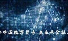 揭秘中国数字货币：未来