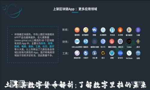 
土耳其数字货币解析：了解数字里拉的未来