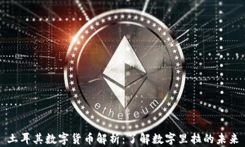 
土耳其数字货币解析：了解数字里拉的未来