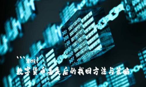 ```xml
数字货币丢失后的找回方法与策略