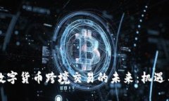 中国数字货币跨境交易的