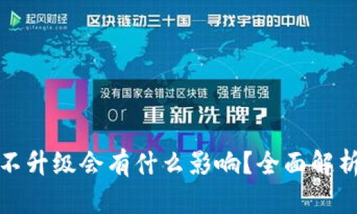 TP钱包不升级会有什么影响？全面解析与建议