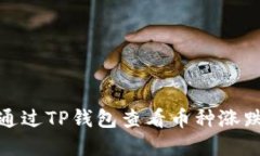 如何通过TP钱包查看币种涨