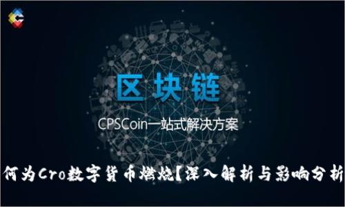 何为Cro数字货币燃烧？深入解析与影响分析