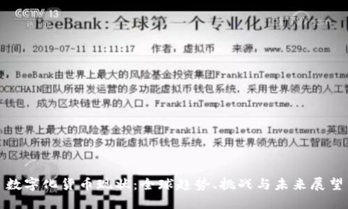 数字化货币现状：全球趋势、挑战与未来展望
