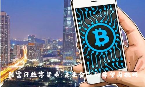 阿富汗数字货币：未来金融的希望与挑战