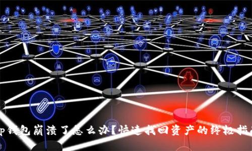 tp钱包崩溃了怎么办？快速找回资产的终极指南