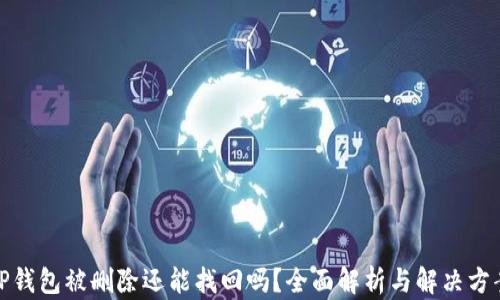 
TP钱包被删除还能找回吗？全面解析与解决方案