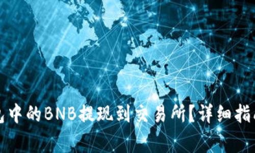 如何将TP钱包中的BNB提现到交易所？详细指南与注意事项