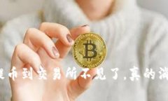 TP钱包提币到交易所不见了