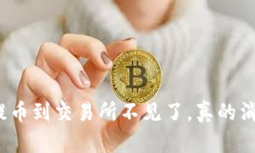 TP钱包提币到交易所不见了，真的消失了吗？