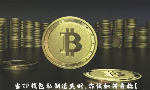 
当TP钱包私钥遗失时，你该如何自救？