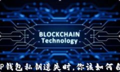 当TP钱包私钥遗失时，你该