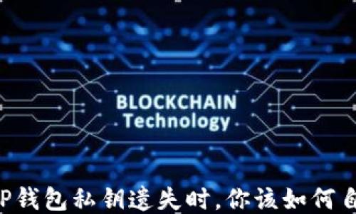 
当TP钱包私钥遗失时，你该如何自救？