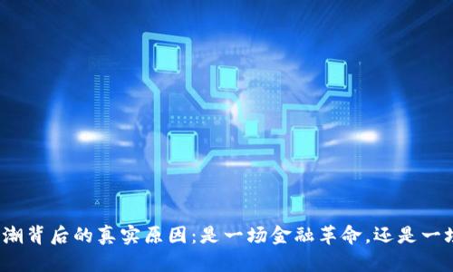 数字货币热潮背后的真实原因：是一场金融革命，还是一场投机狂潮？