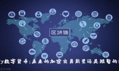 “Luffy数字货币：未来的加