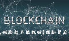 TP钱包删除能不能找回？揭