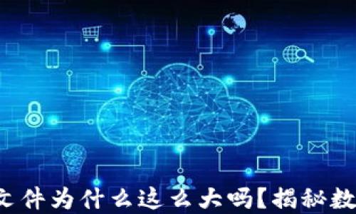 
你知道以太坊钱包文件为什么这么大吗？揭秘数字资产背后的秘密！