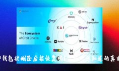TP钱包被删除后能恢复吗？
