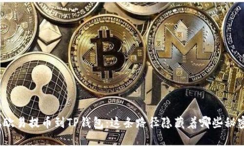 从欧易提币到TP钱包：这条路径隐藏着哪些秘密？