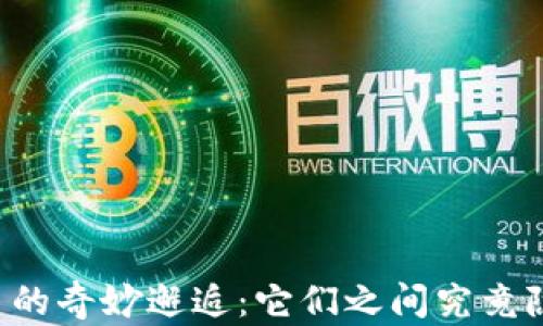 
熊猫与数字货币的奇妙邂逅：它们之间究竟隐藏了什么秘密？