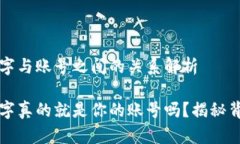 TP钱包名字与账号之间的关