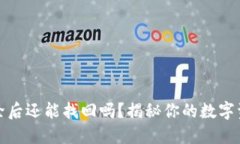 TP钱包被删除后还能找回吗