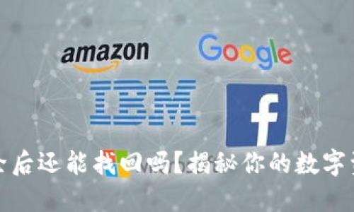 TP钱包被删除后还能找回吗？揭秘你的数字资产安全之路