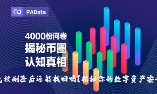 TP钱包被删除后还能找回吗？揭秘你的数字资产安全之路