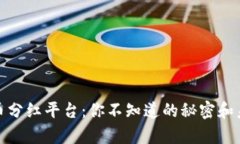 数字货币分红平台：你不